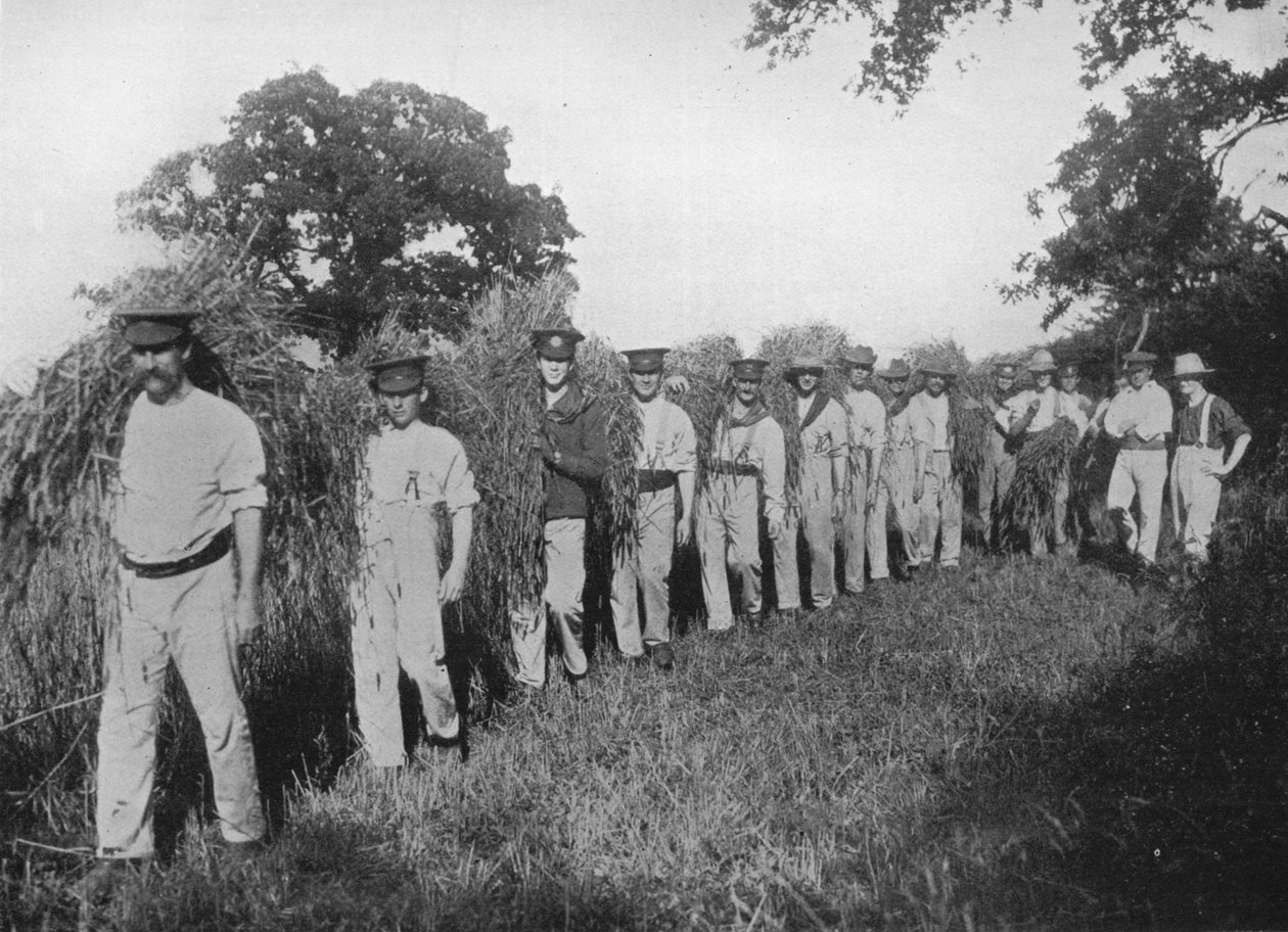 Bristen på lantarbetare: Soldater som hjälper till med skörden, 1915 av Unbekannt