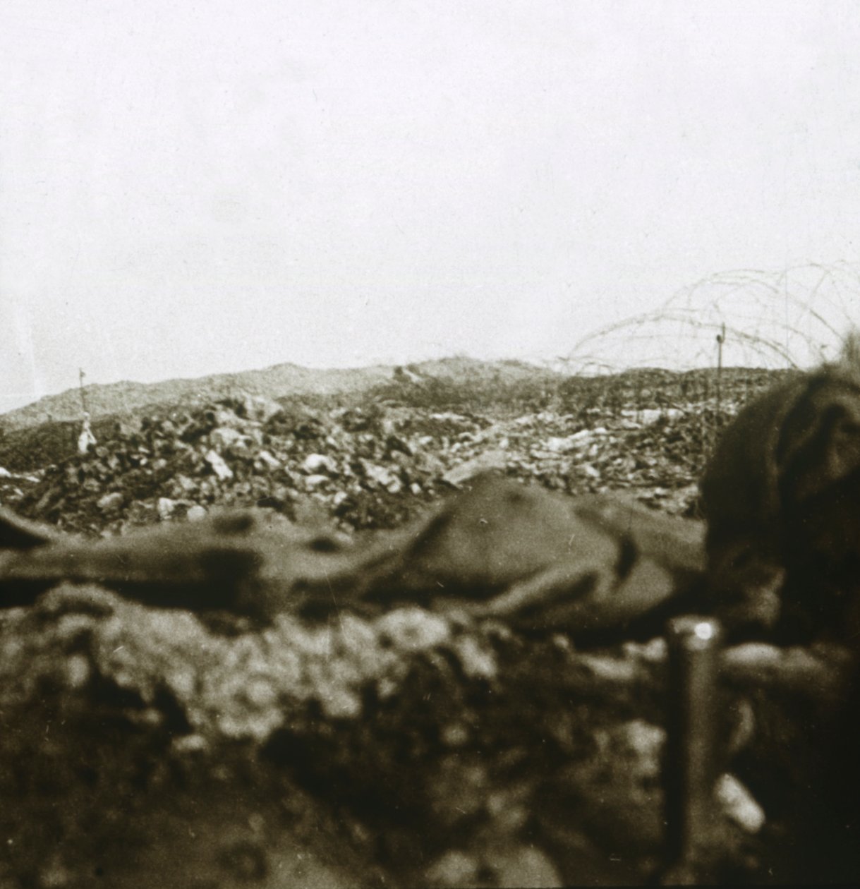 Toppmötet, Les Éparges, norra Frankrike, c1914-c1918. av Unbekannt