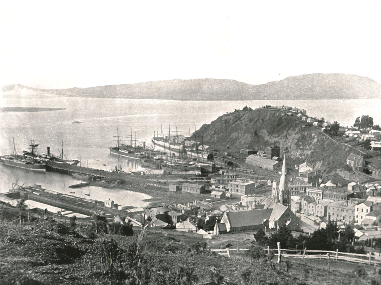 Staden och hamnen, Port Chalmers, Nya Zeeland, 1895. av Unbekannt
