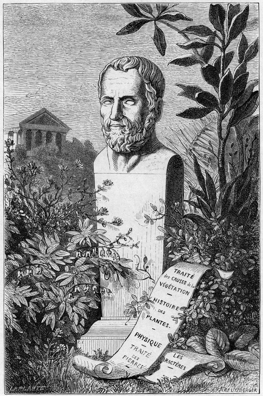 Theophrastus, antik grekisk filosof och vetenskapsman, 1866 av Unbekannt