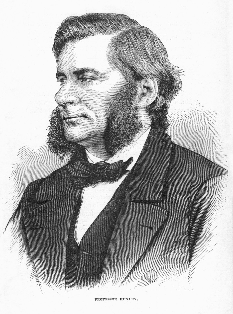 Thomas Henry Huxley, brittisk biolog, c1860-talet av Unbekannt