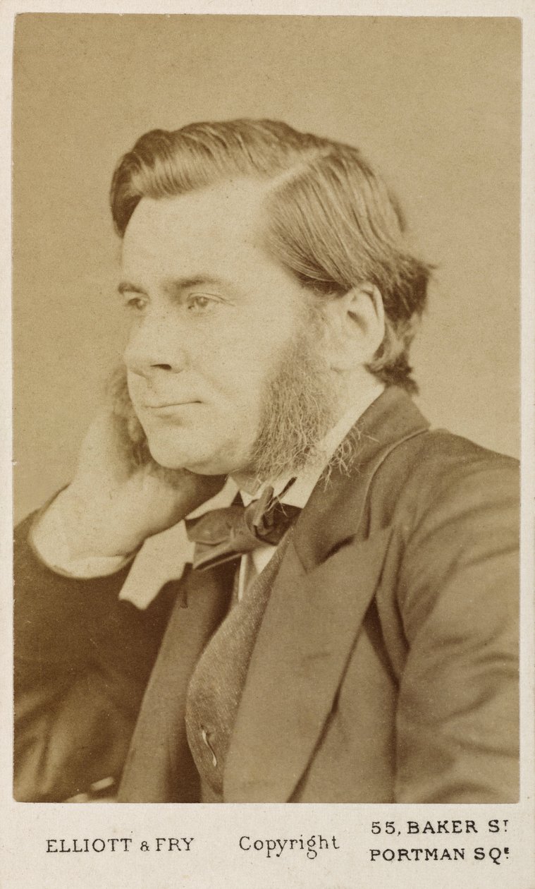 Thomas Henry Huxley, brittisk biolog, c1865-1886 av Unbekannt
