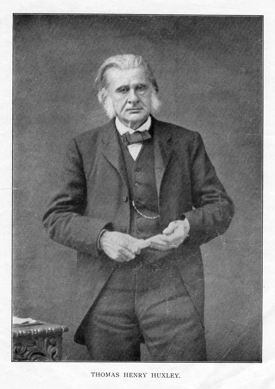 Thomas Henry Huxley, brittisk biolog, c1870-talet av Unbekannt