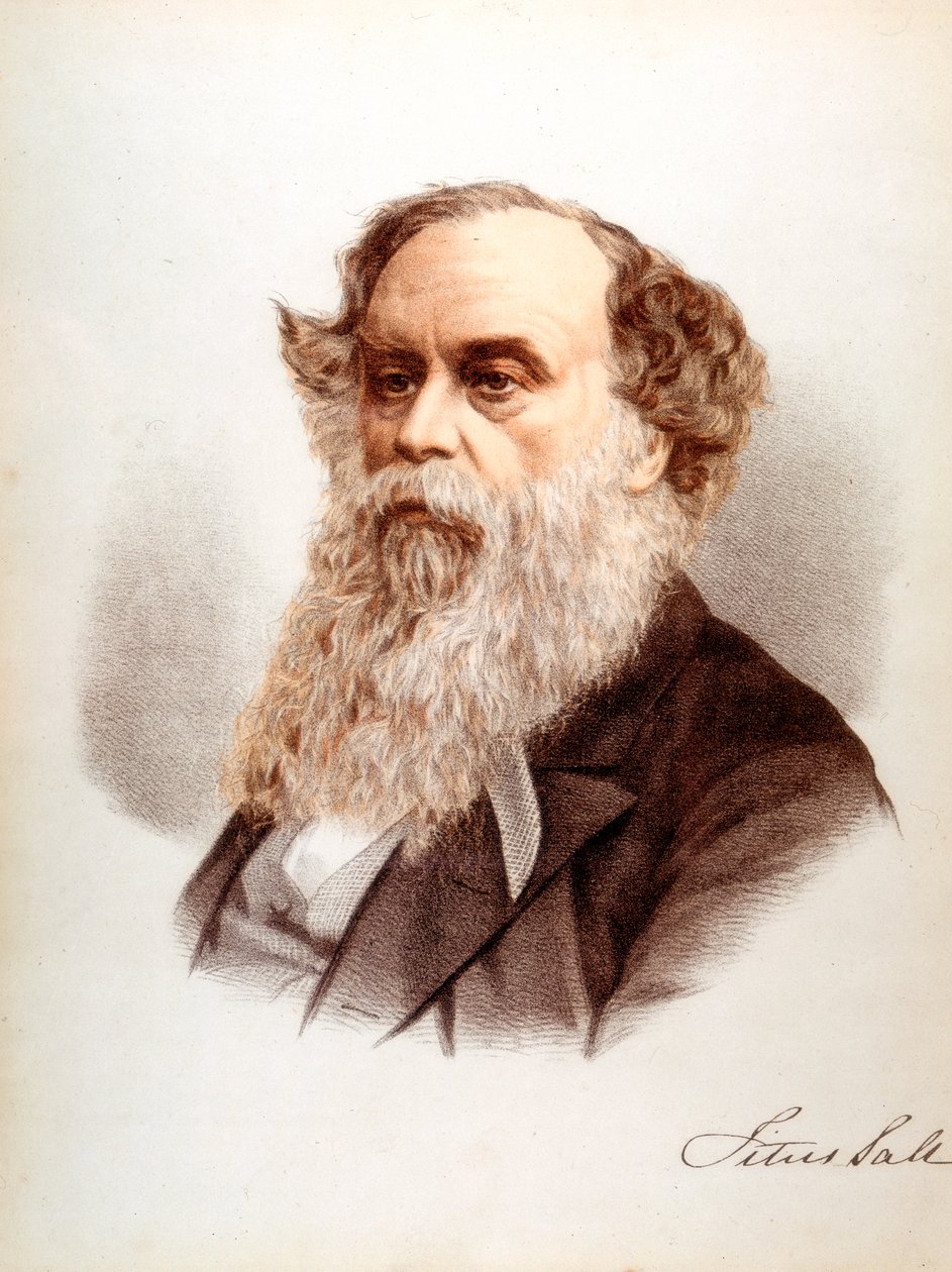 Titus Salt, brittisk ullhäftare och industriman, c1880 av Unbekannt