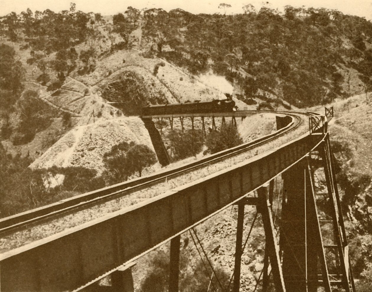 Tåg passerar över viadukten, Mount Lofty Range, södra Australien, 1930. av Unbekannt