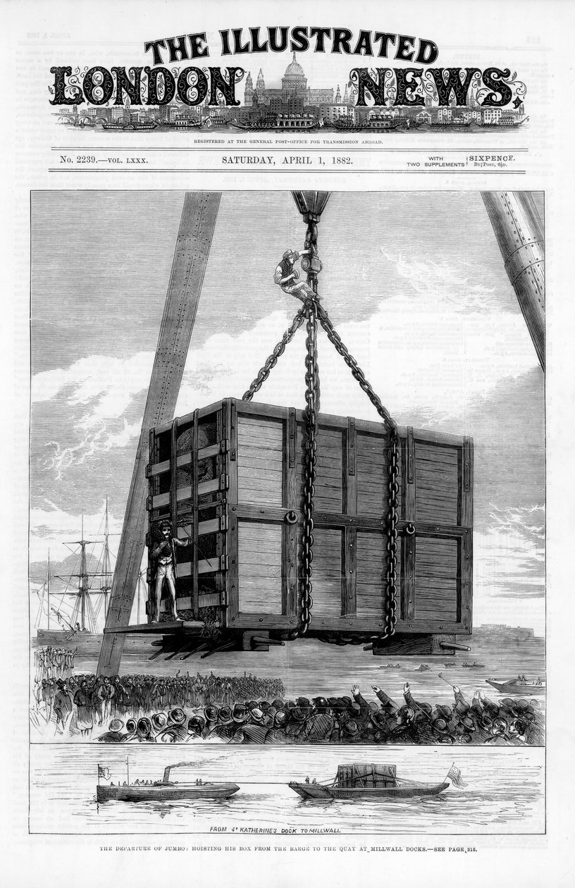 Transport av den afrikanska elefanten Jumbo till Amerika, 1882 av Unbekannt