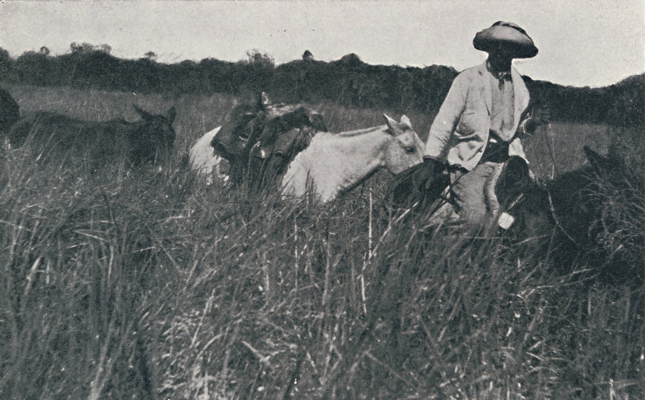 Resa på Pampas, 1916 av Unbekannt