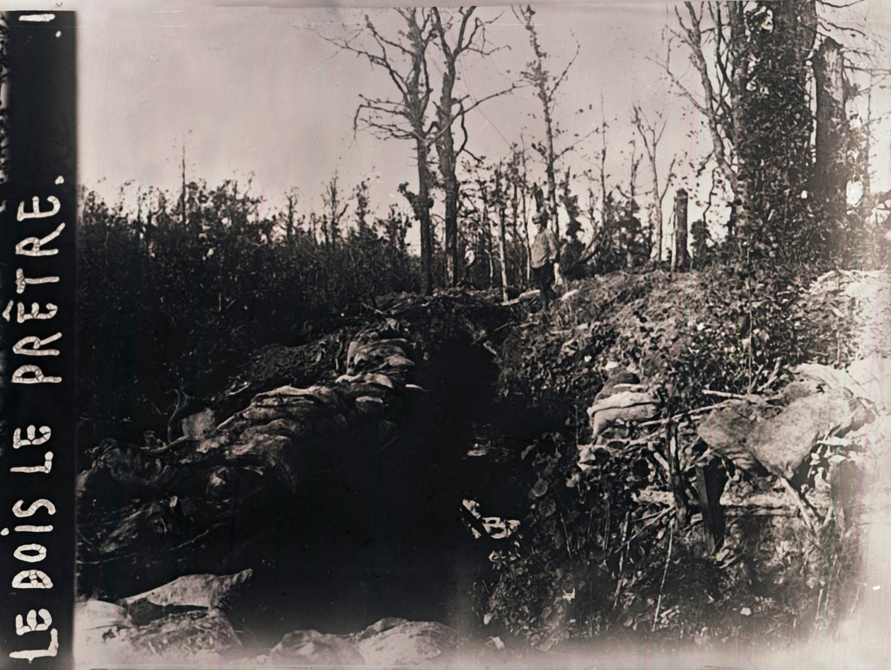 Trenches, Bois-le-Prêtre, Lorraine, norra Frankrike, c1914-c1918 av Unbekannt