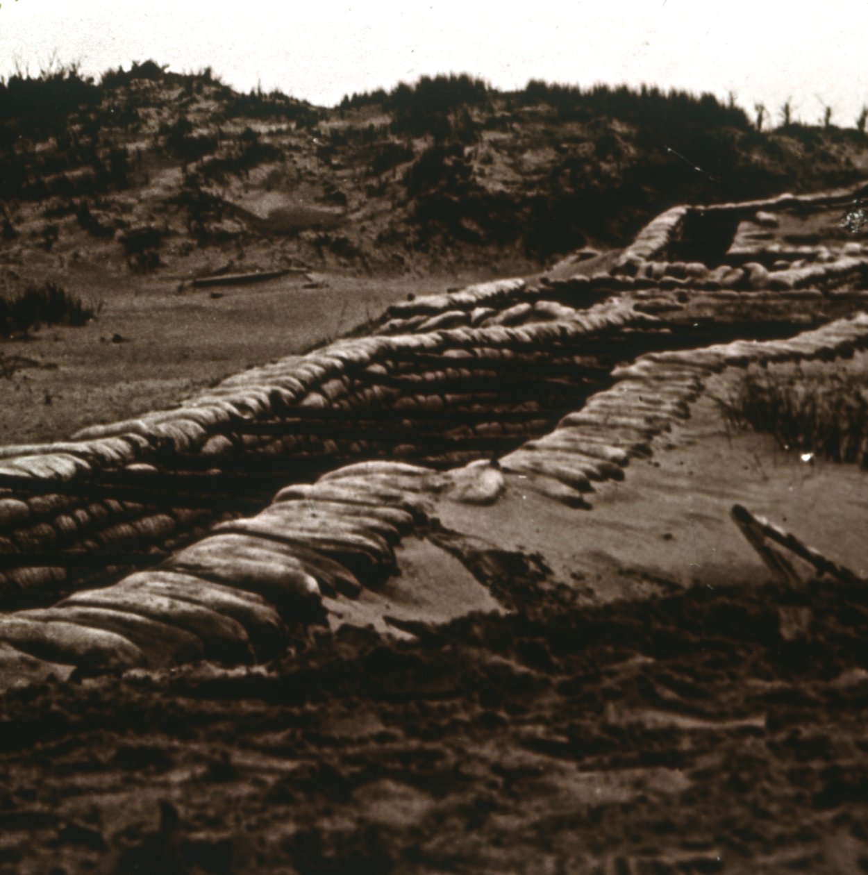 Skyttegravar i skydd av sanddynerna, Nieuwpoort, Flandern, Belgien, c1914-c1918 av Unbekannt