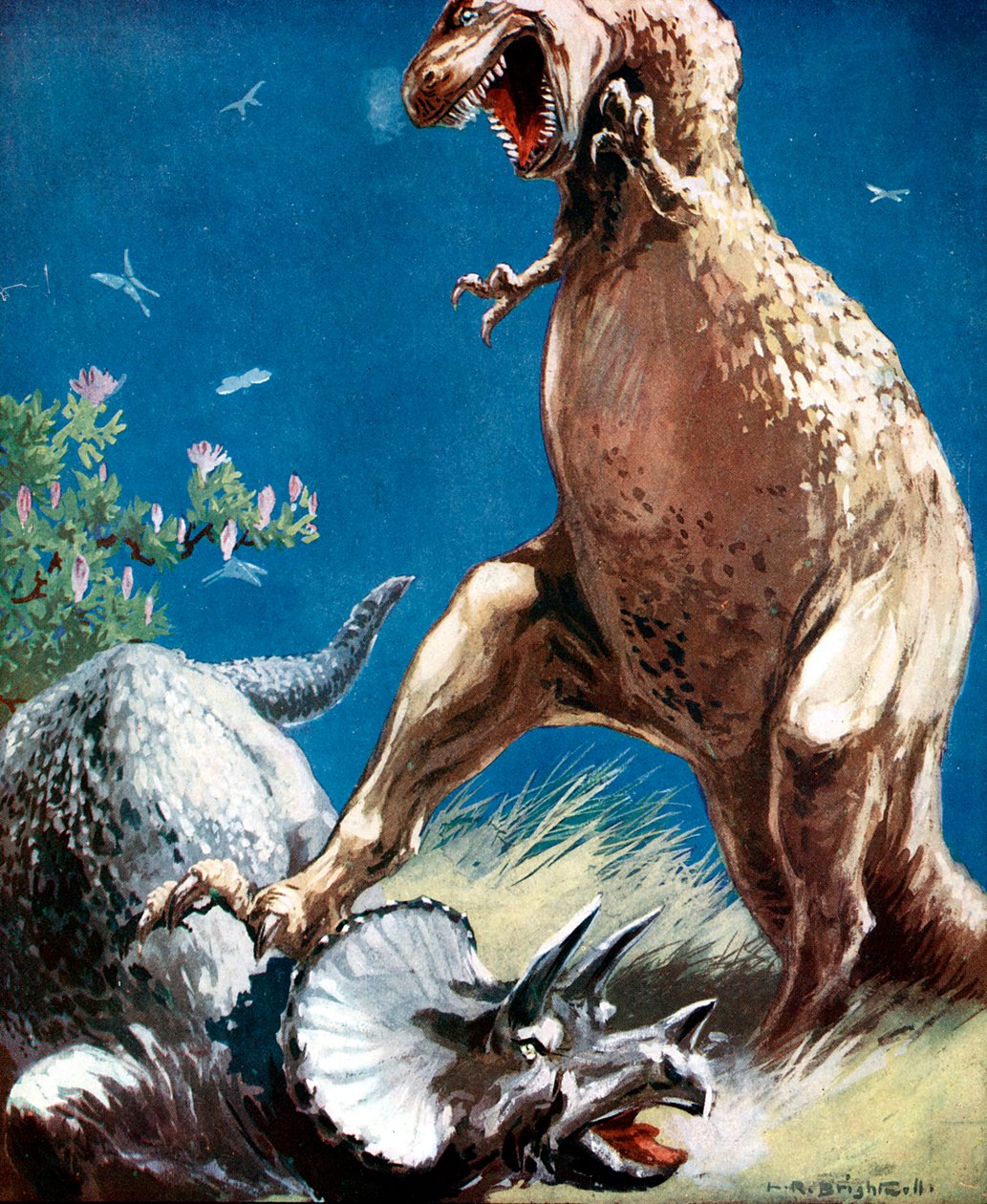 Triceratops, en behornad dinosaurie, hållen nere av en tyrannosaurie, c1920 av Unbekannt
