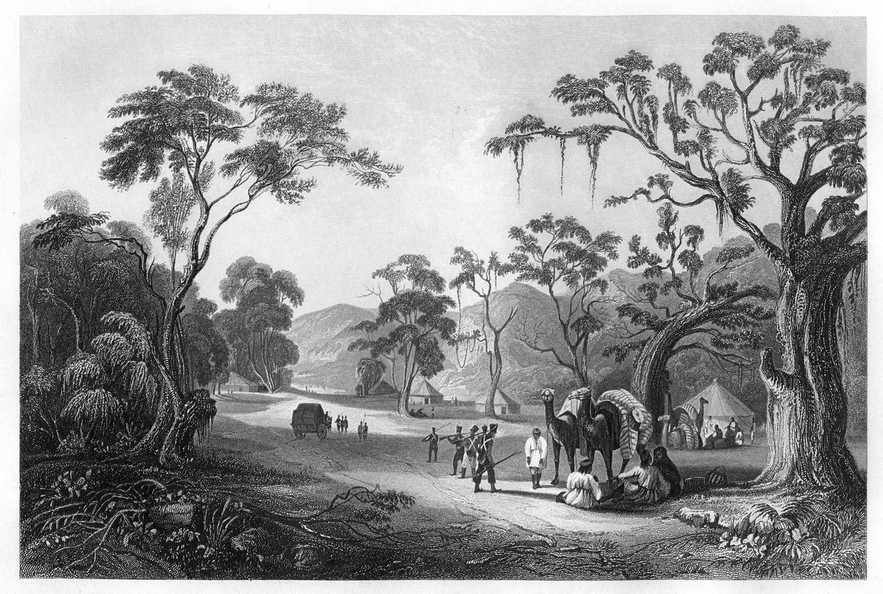 Trupper slog läger vid ingången till Keree-passet, norr om Meerut, Indien, c1860 av Unbekannt