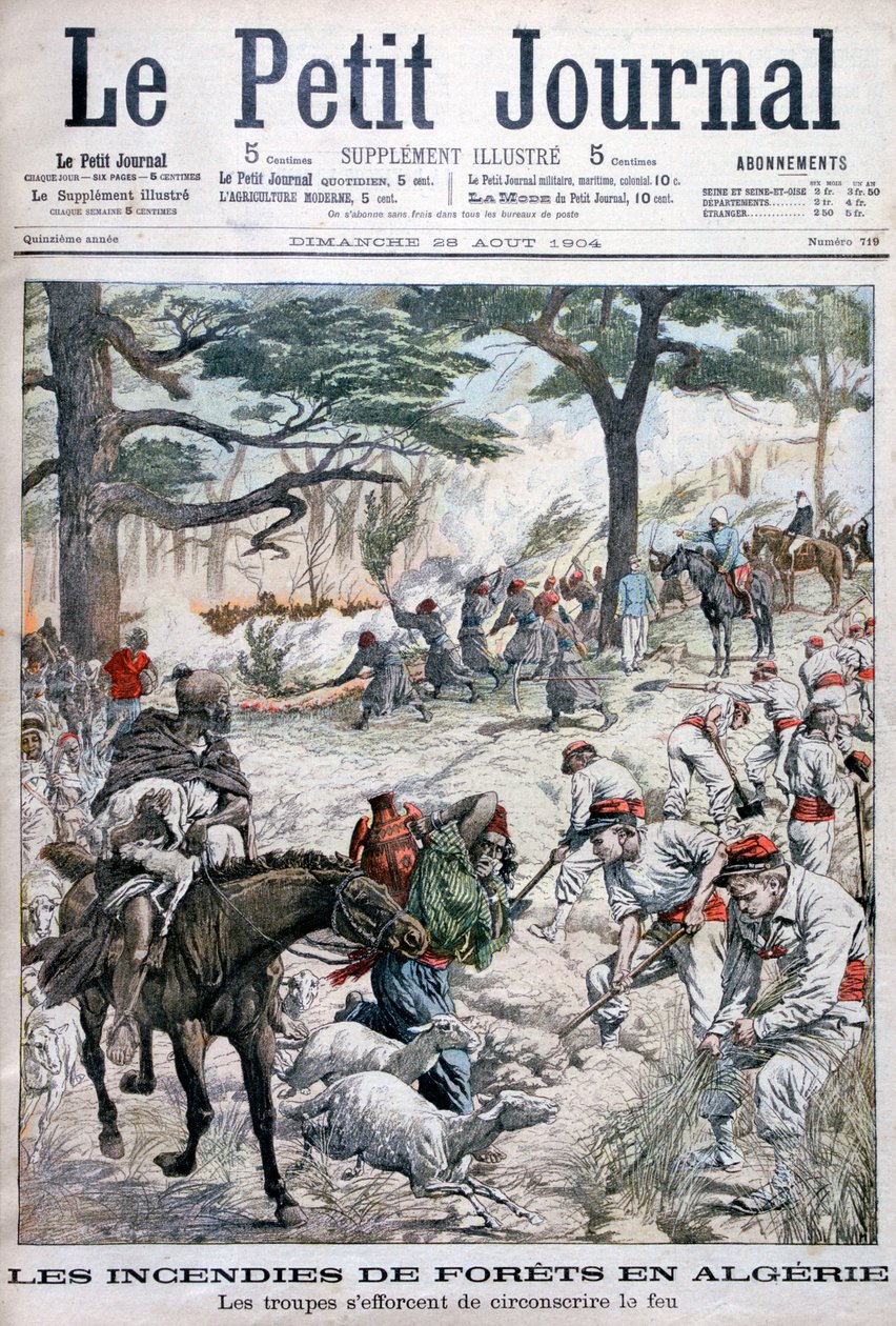 Trupper som försöker begränsa en skogsbrand, Algeriet, 1904 av Unbekannt