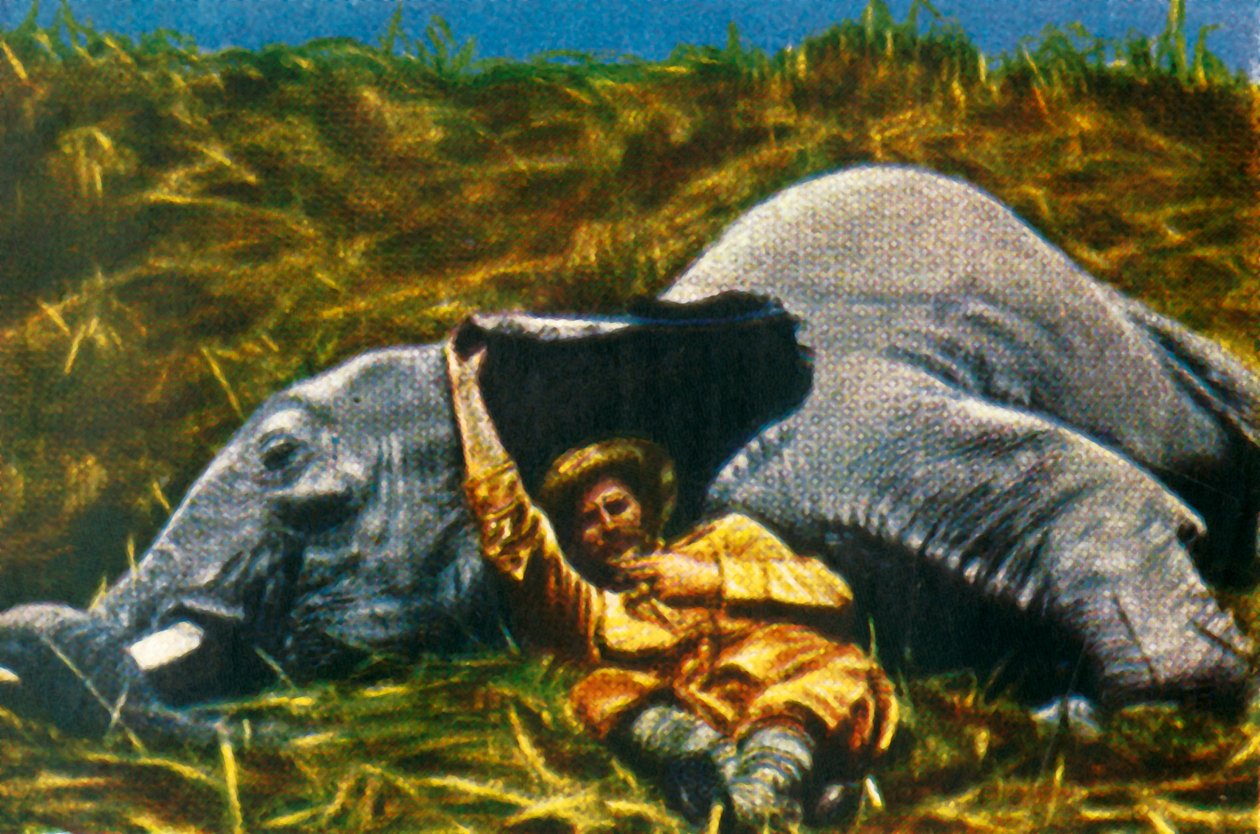 Troféjägare med död elefant, c1928. av Unbekannt