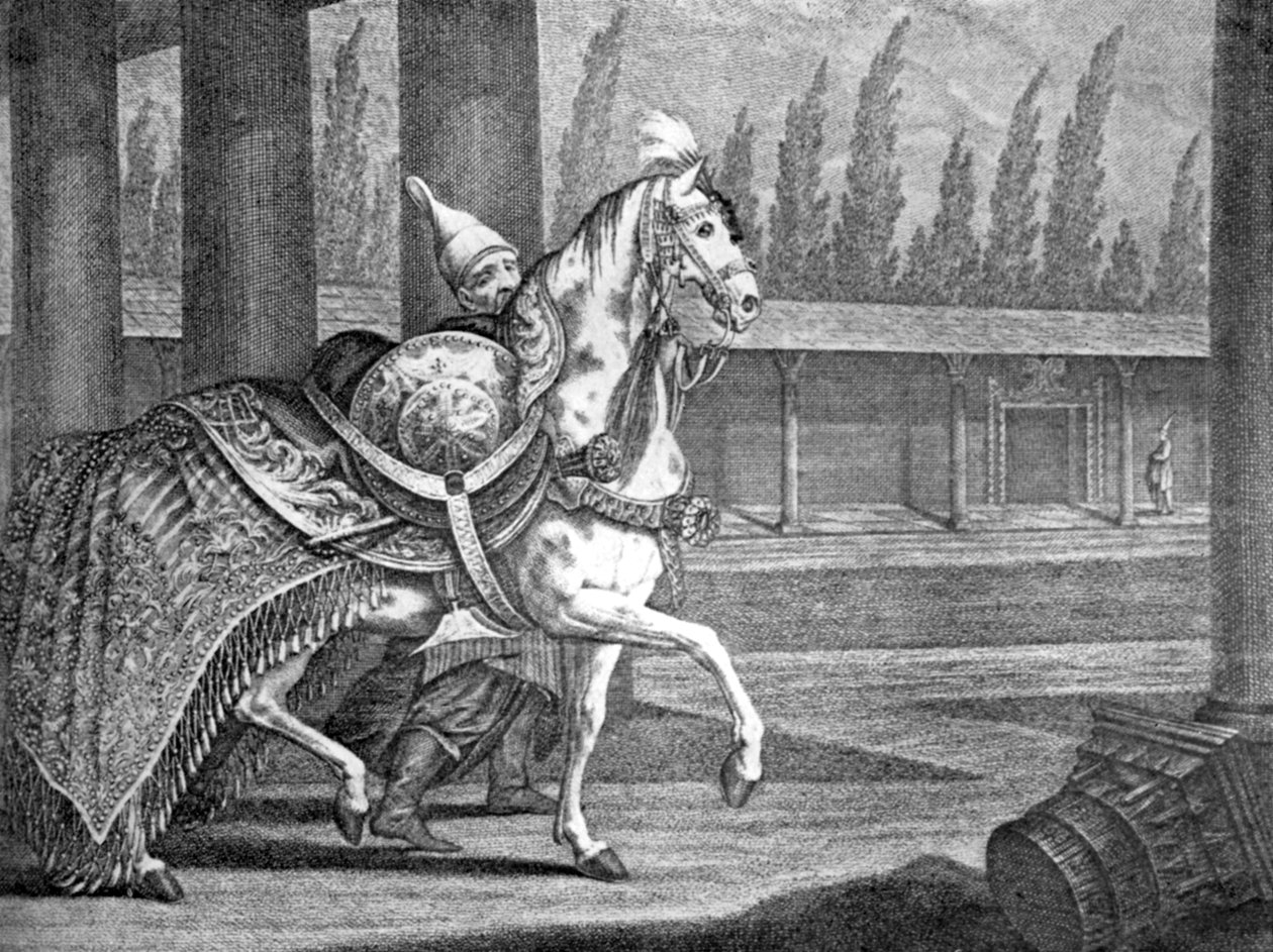 Turkiska sultanernas arabiska häst, 1722 1938 av Unbekannt