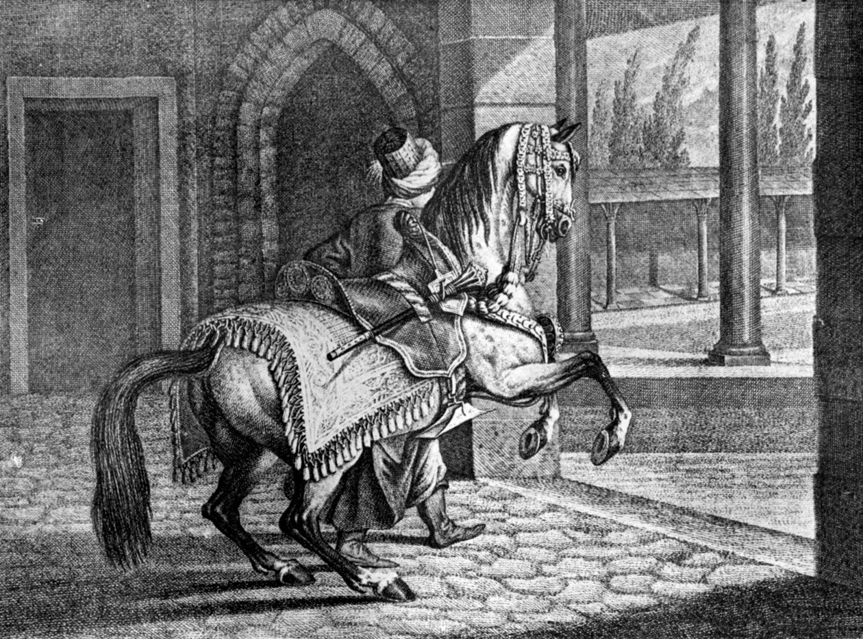 Turkiska sultanernas arabiska sadelhäst, 1722, 1938 av Unbekannt