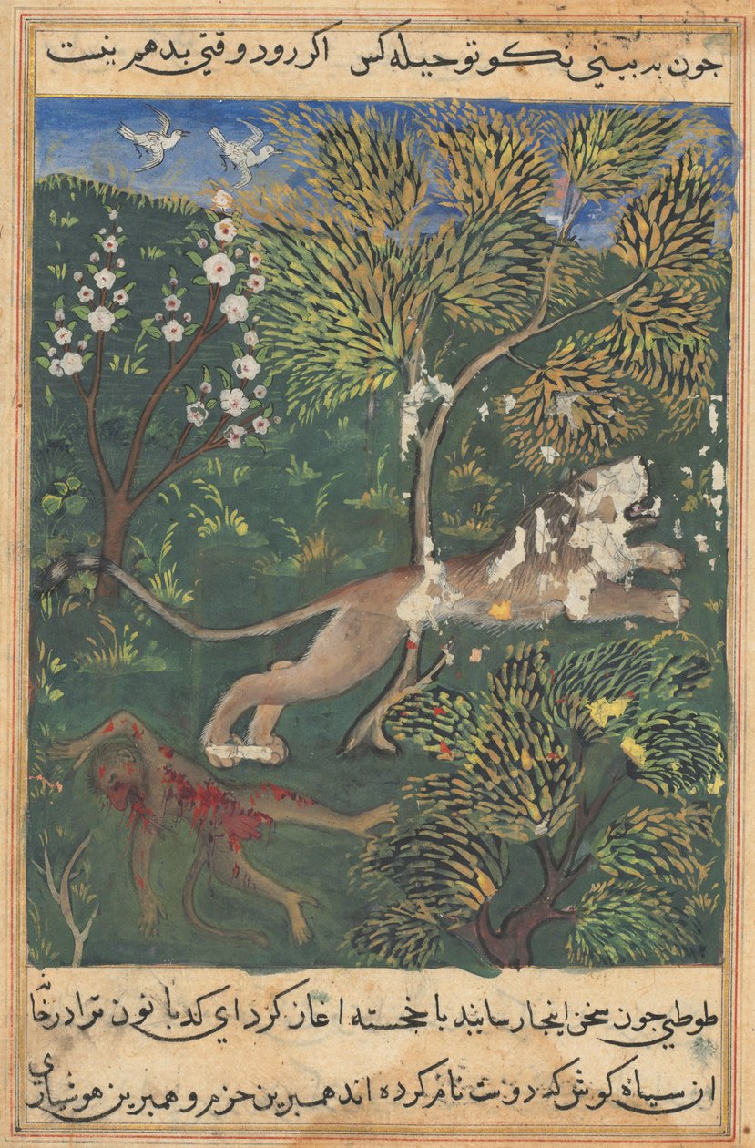 Tuti-Nama Tales of a Papegoja: Tale XXIX, ca. 1560. av Unbekannt