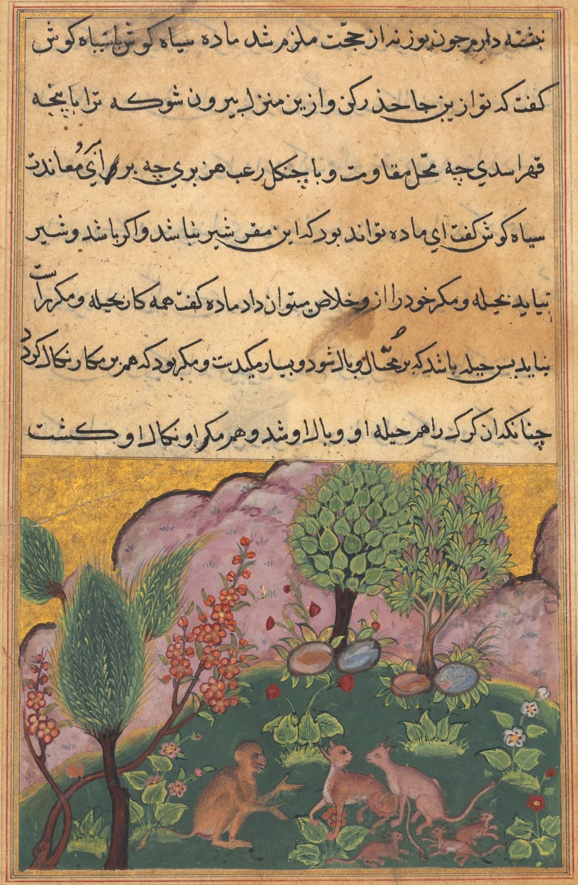 Tuti-Nama Tales of a Papegoja: Tale XXIX, ca. 1560. av Unbekannt