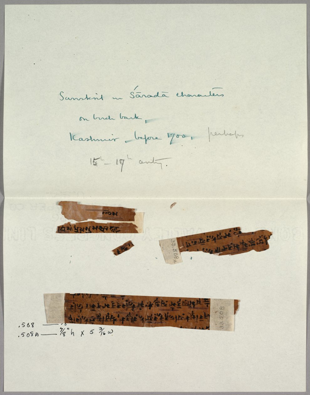 Två fragment av bark med sanskrit, före 1700. av Unbekannt