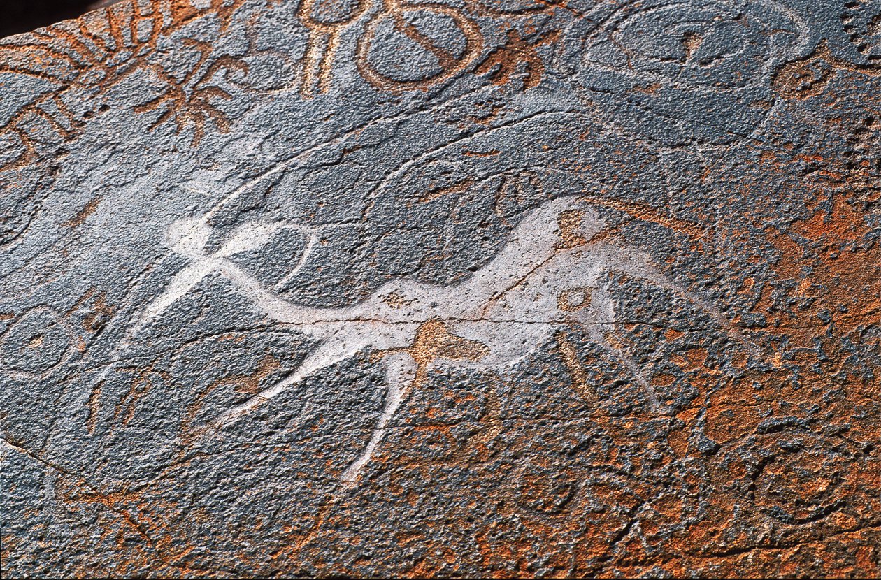 Twyfelfontein klippmålningar, DAMARALAND, NAMIBIA av Unbekannt