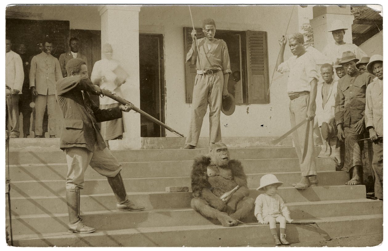 En tämjd gorilla, ca 1910 (s/v foto) av Unbekannt