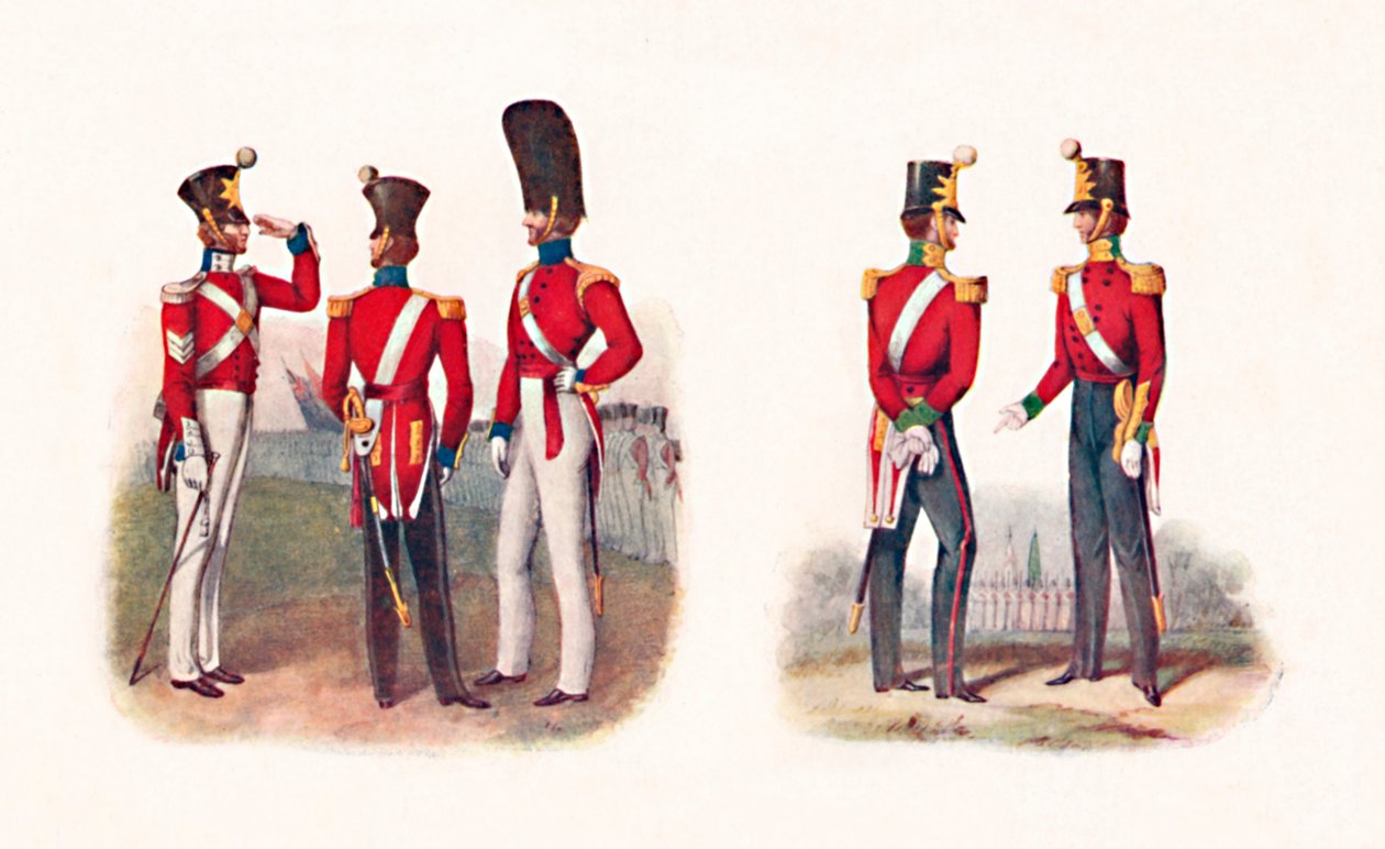 Uniformer of the 86th Regt., 1842, and Regt., 1848, 1904 av Unbekannt