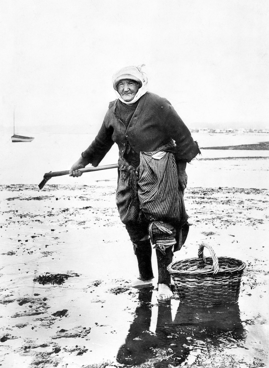 Storbritannien: En gammal dam som samlar hjärtmusslor vid havet. c1890 av Unbekannt