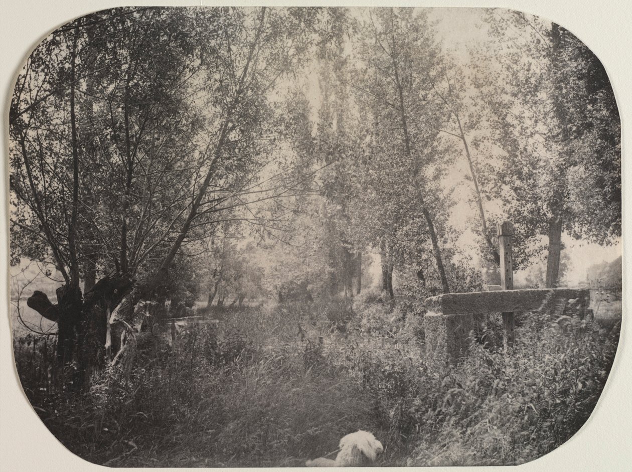 Untitled Landscape with Dog, c. 1910. av Unbekannt