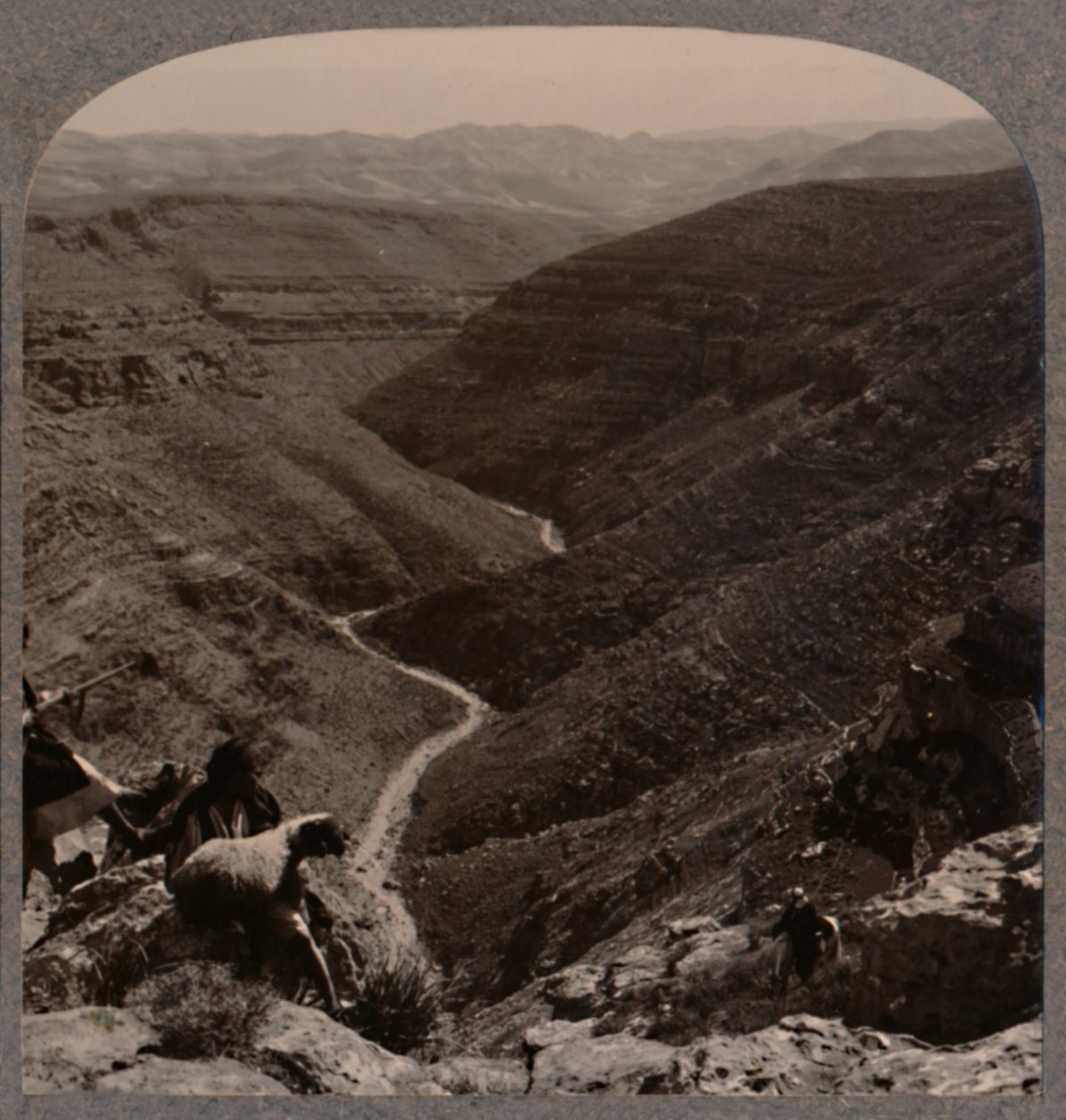 Arnodalen, herde och får i förgrunden, c1900 av Unbekannt