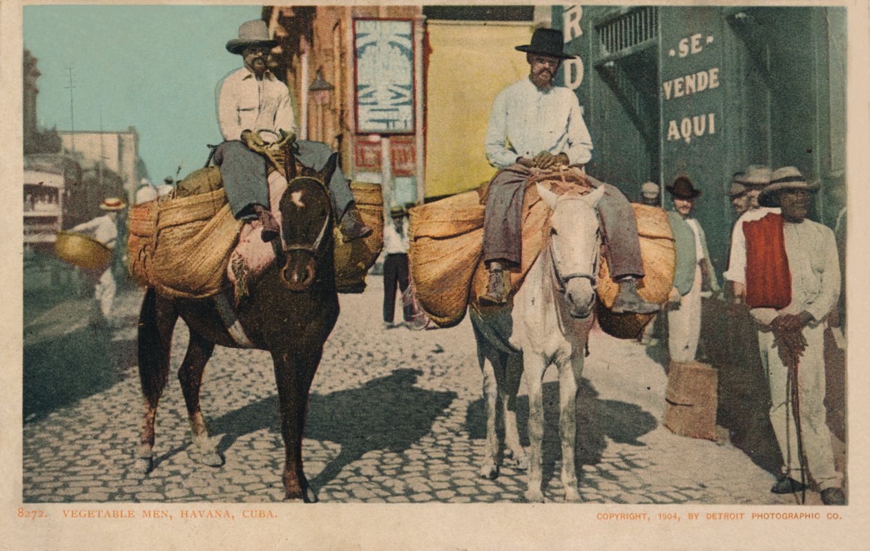 Grönsaksmän, Havanna, Kuba, 1904 av Unbekannt