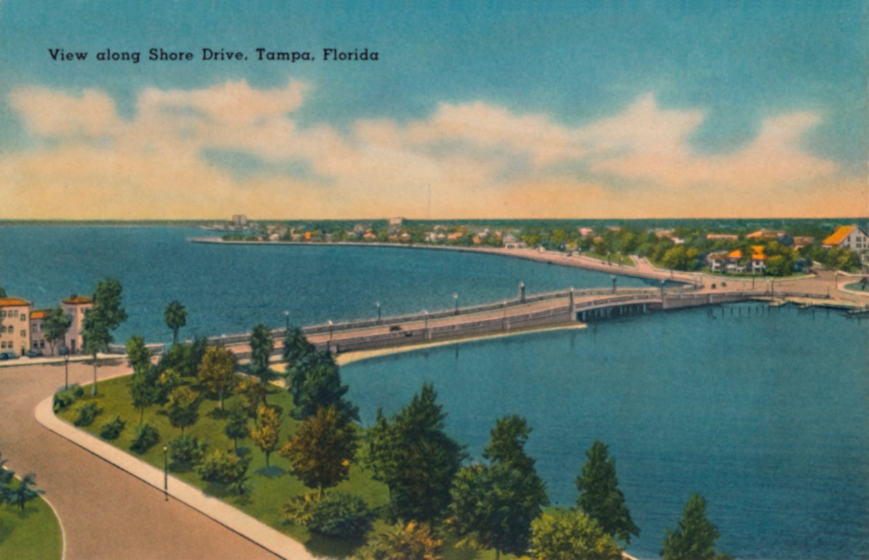 Utsikt längs Shore Drive, Tampa, Florida., c1940-talet av Unbekannt