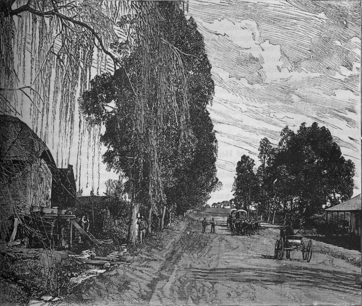 Utsikt nära Pretoria, c1880 av Unbekannt