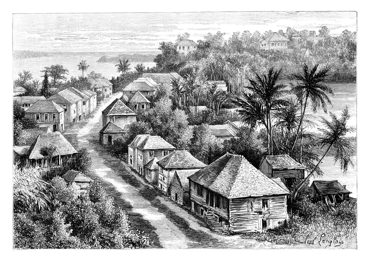 Utsikt över Basse-Terre, Guadeloupe, c1890 av Unbekannt