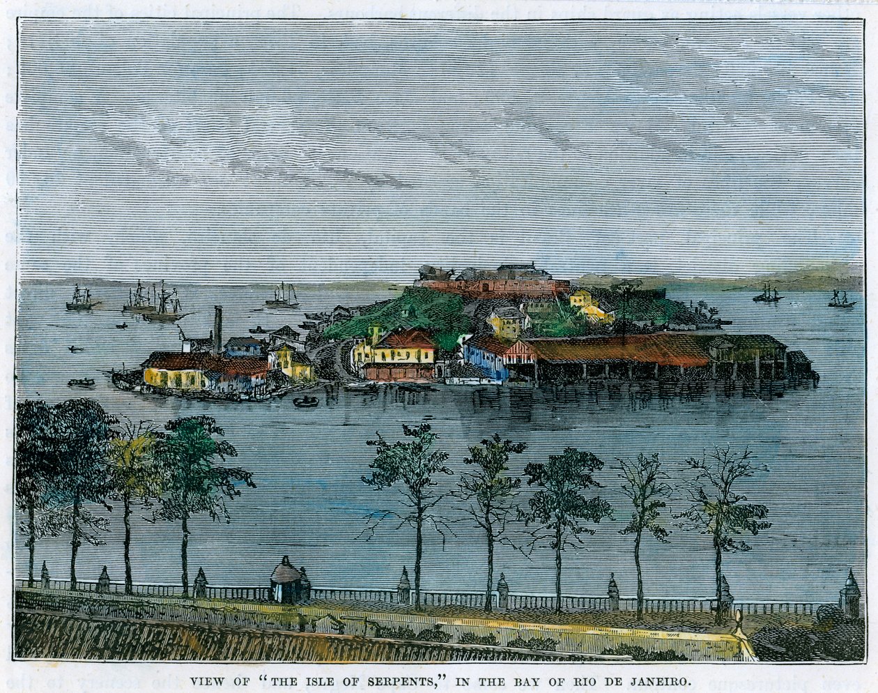 Utsikt över ön ormar, i Rio de Janeirobukten, Brasilien, c1880 av Unbekannt