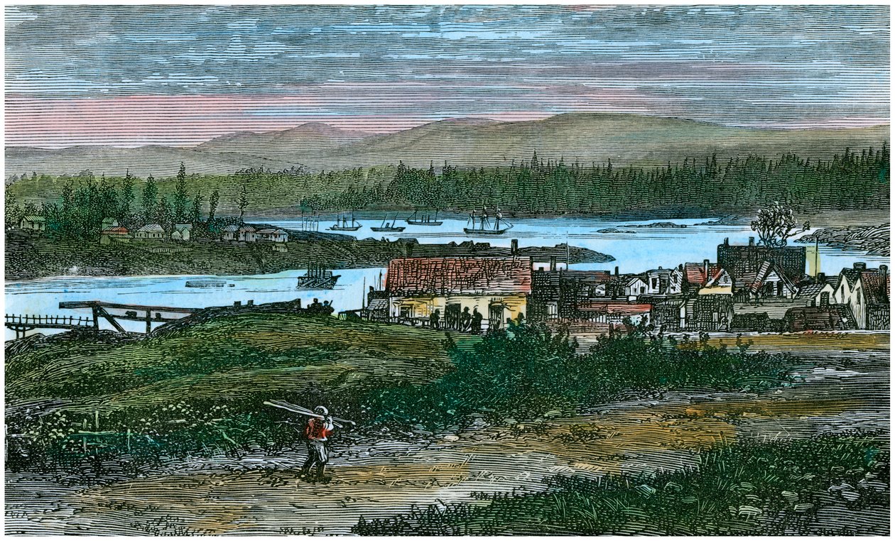 Vy över de västra förorterna till Victoria, Vancouver Island, British Columbia, Kanada, c1880 av Unbekannt