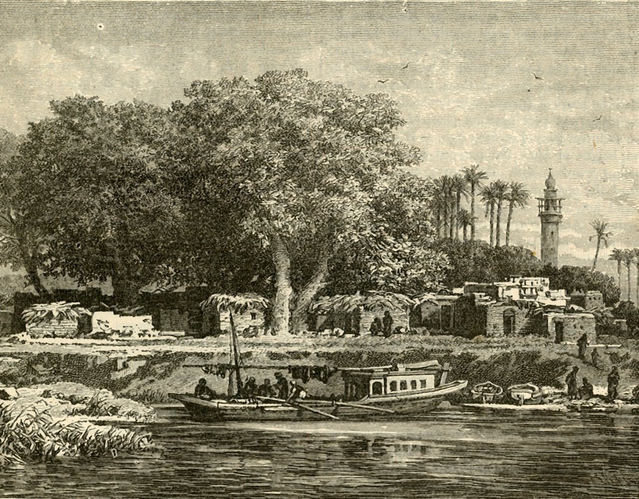 Utsikt över Nilens delta, 1890. av Unbekannt