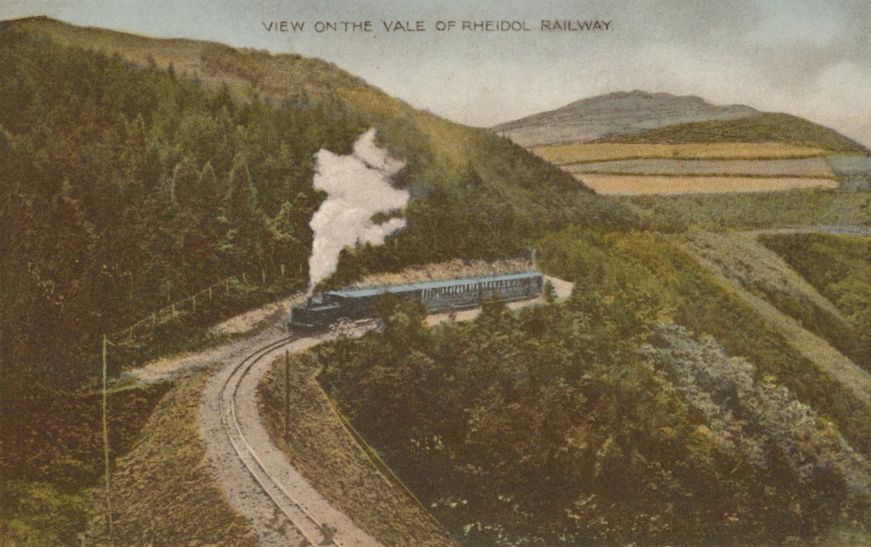 Utsikt över Vale of Rheidol Railway, tidigt 1900-tal. av Unbekannt