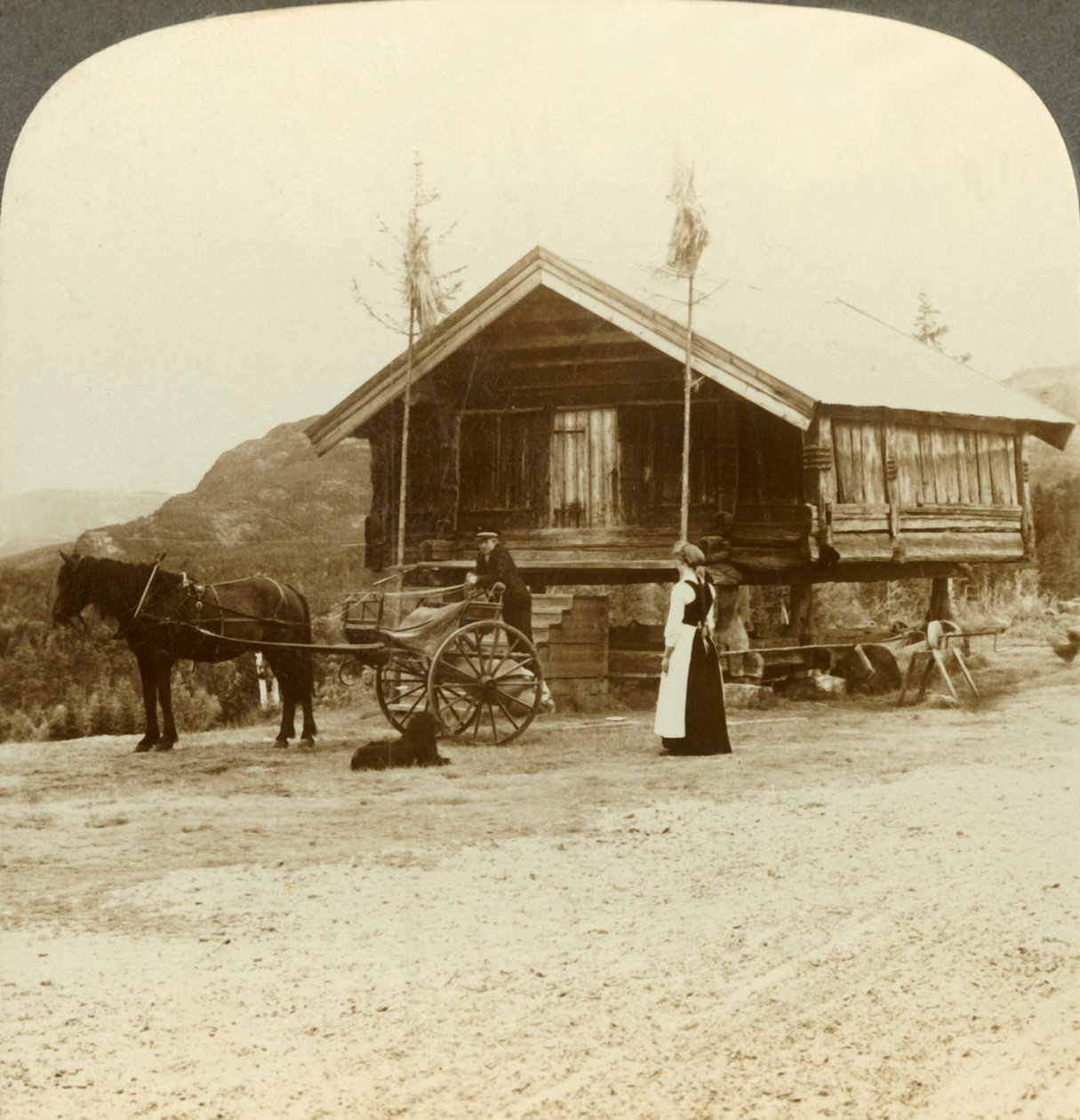Väntar på passagerare på vägen nära Bolkesjo, Norge, c1905. av Unbekannt