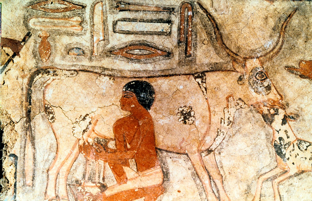 Väggmålning från Methethis grav, Saqqara, Forntida Egypten, Gamla kungariket, c2371-2350 f.Kr. av Unbekannt