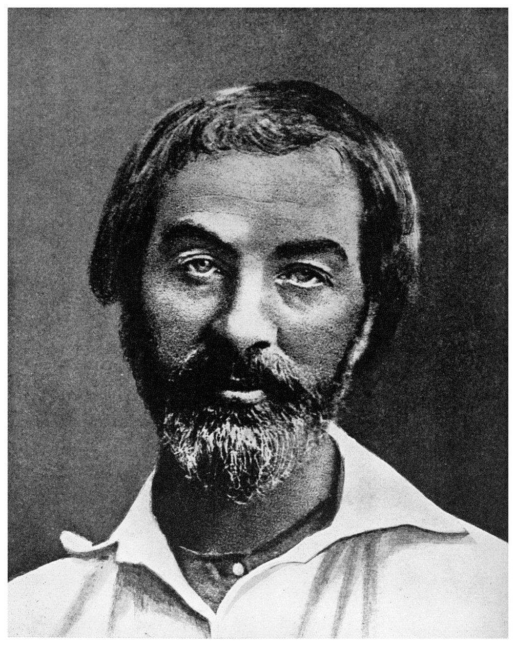 Walt Whitman, amerikansk poet, 1800-talet 1956 av Unbekannt