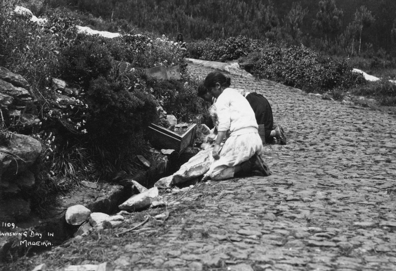 Tvättdag på Madeira, Portugal, c1920-c1930s av Unbekannt
