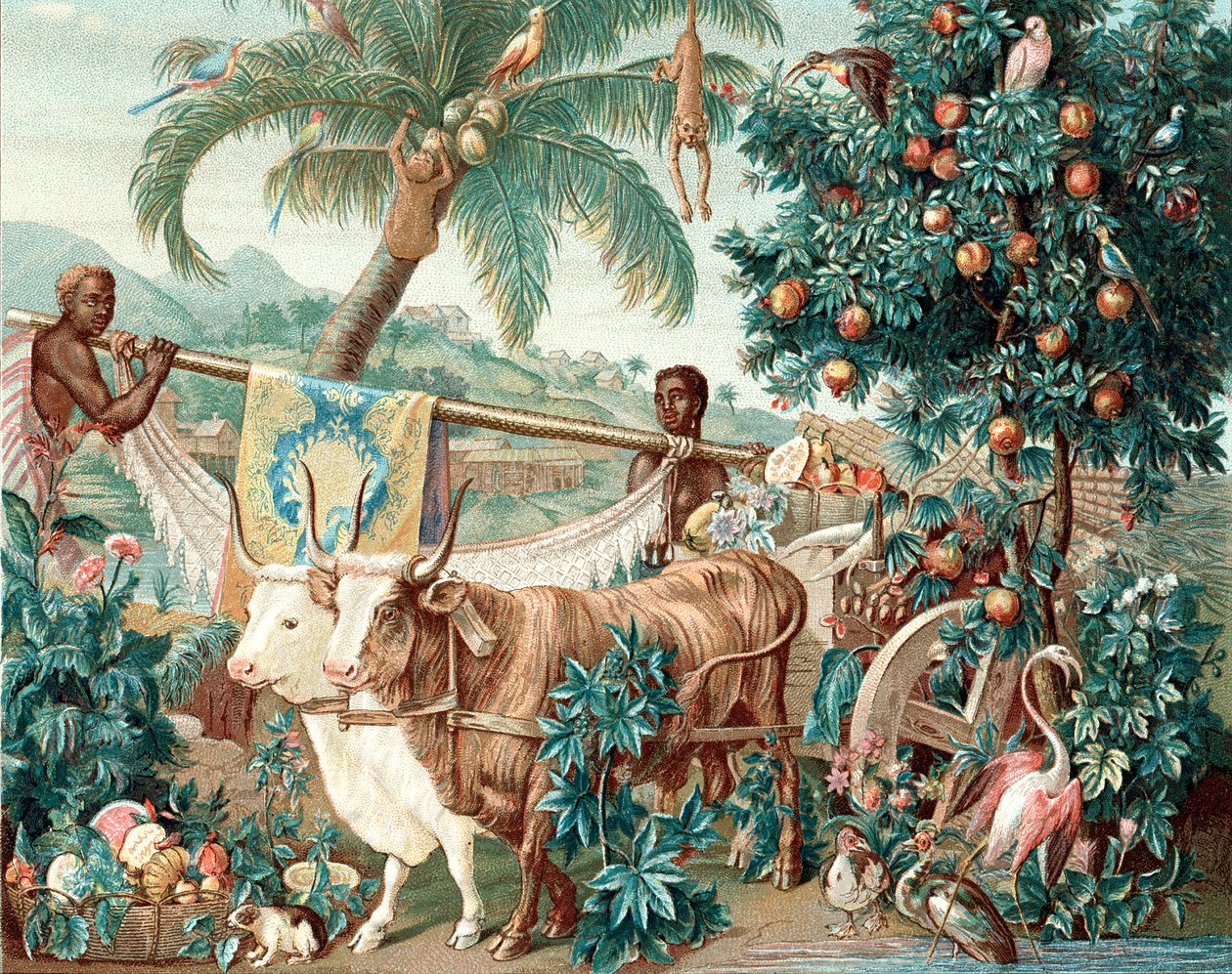Indiens rikedom, 1600-talet av Unbekannt