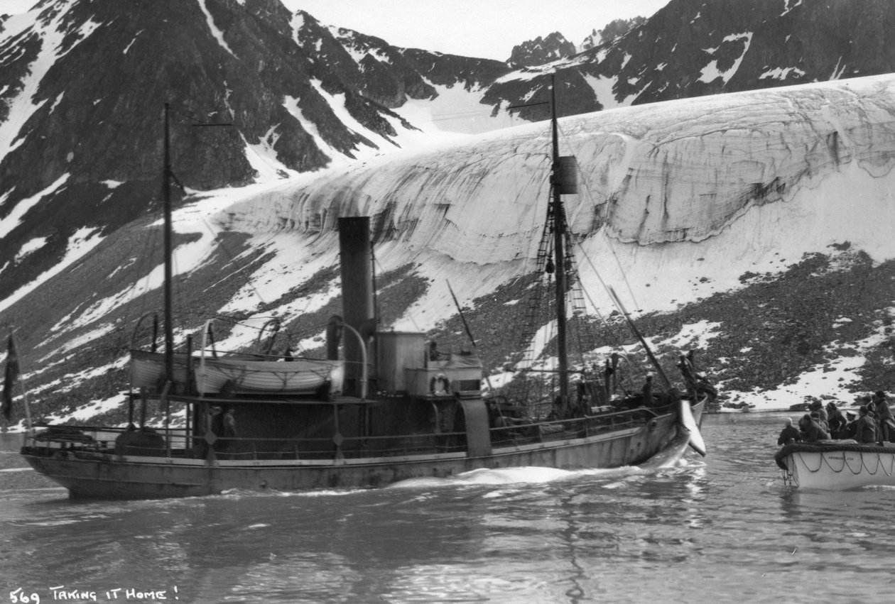 Valfångst, Magdalene Bay, Spetsbergen, Norge, 1929 av Unbekannt