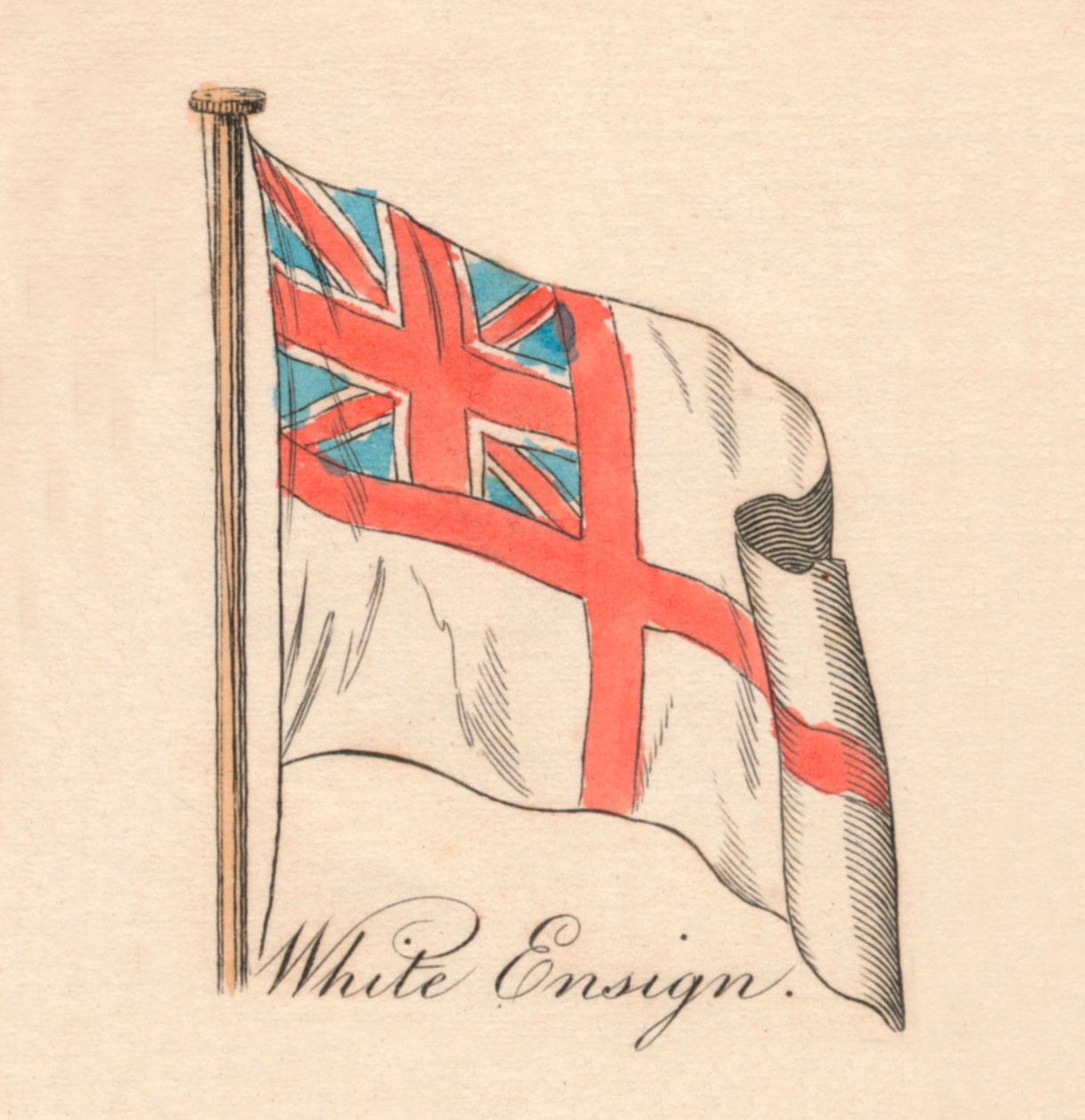 Vit fänrik, 1838 av Unbekannt