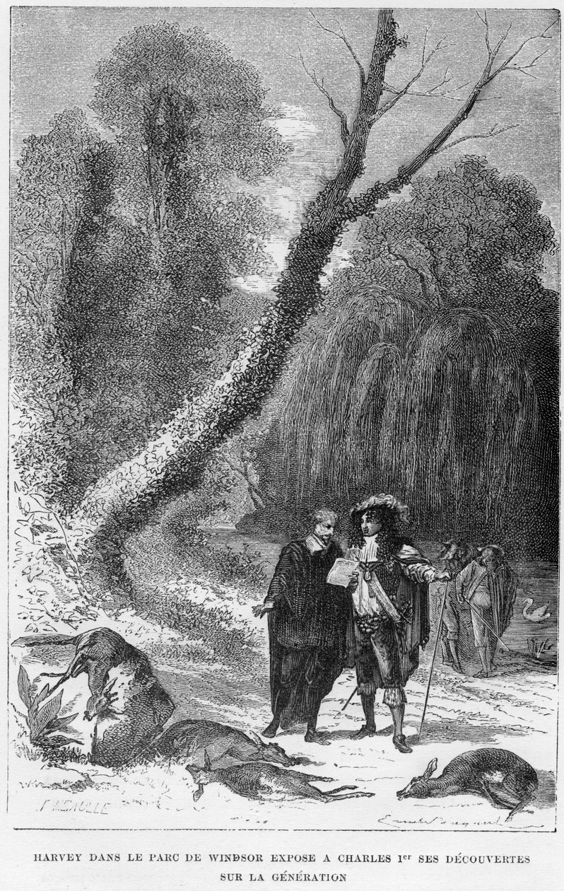 William Harvey, engelsk läkare, i Windsor Park, 1600-talet 1870 av Unbekannt