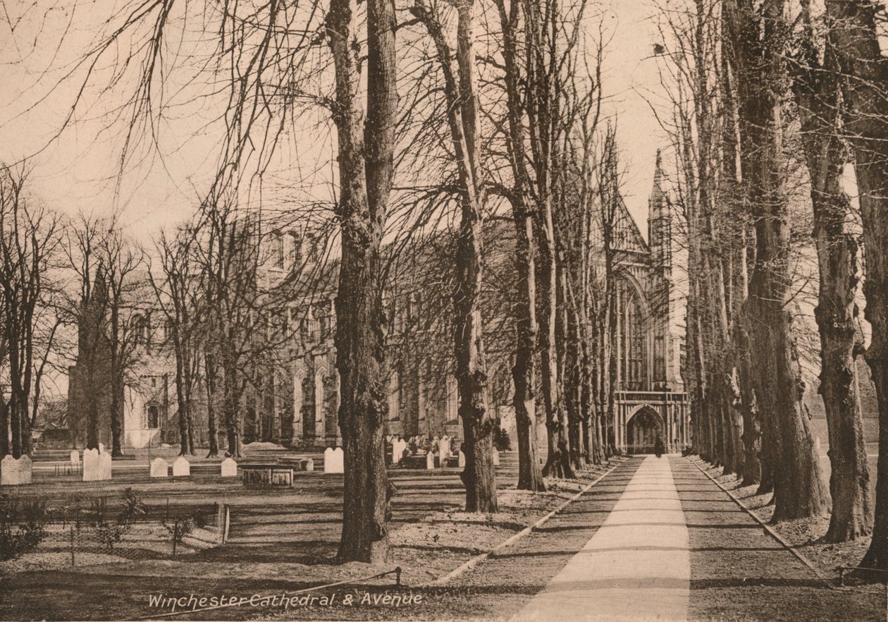 Winchester Cathedral and Avenue, Hampshire, tidigt 1900-tal. av Unbekannt