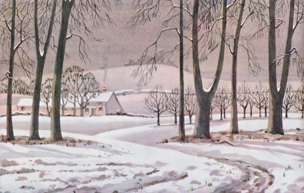 Vinter – De fysiska, kemiska och biologiska förändringarna som solen åstadkom under året, 1935 av Unbekannt