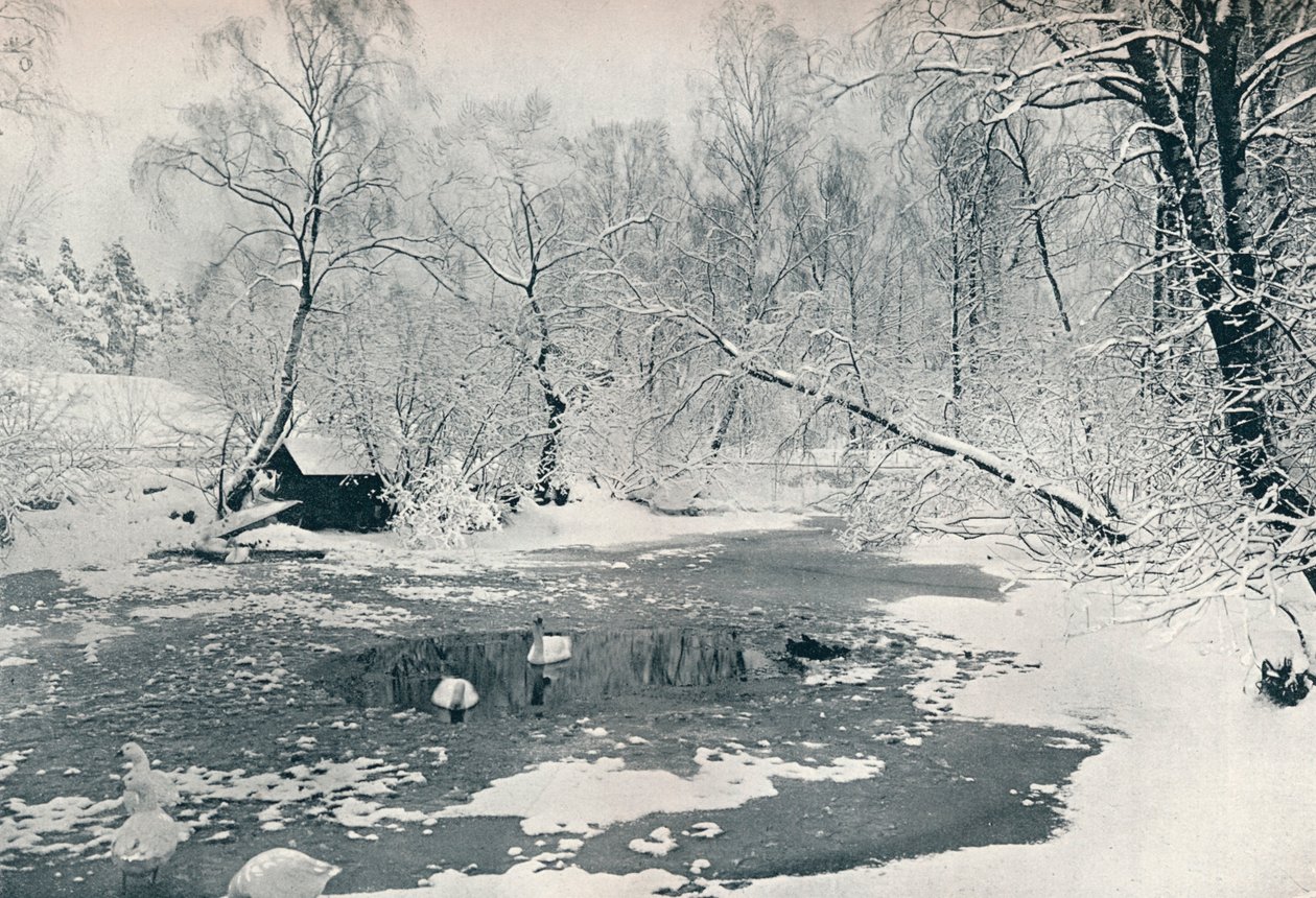 Vintervy över friluftsmuseet på Skansen, ca 1900 av Unbekannt