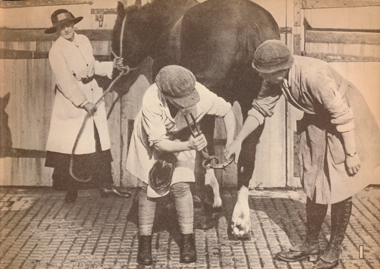 Kvinnor som hovslagare på hästsjukhuset i ett stort åkeriföretag, c1916, 1935 av Unbekannt