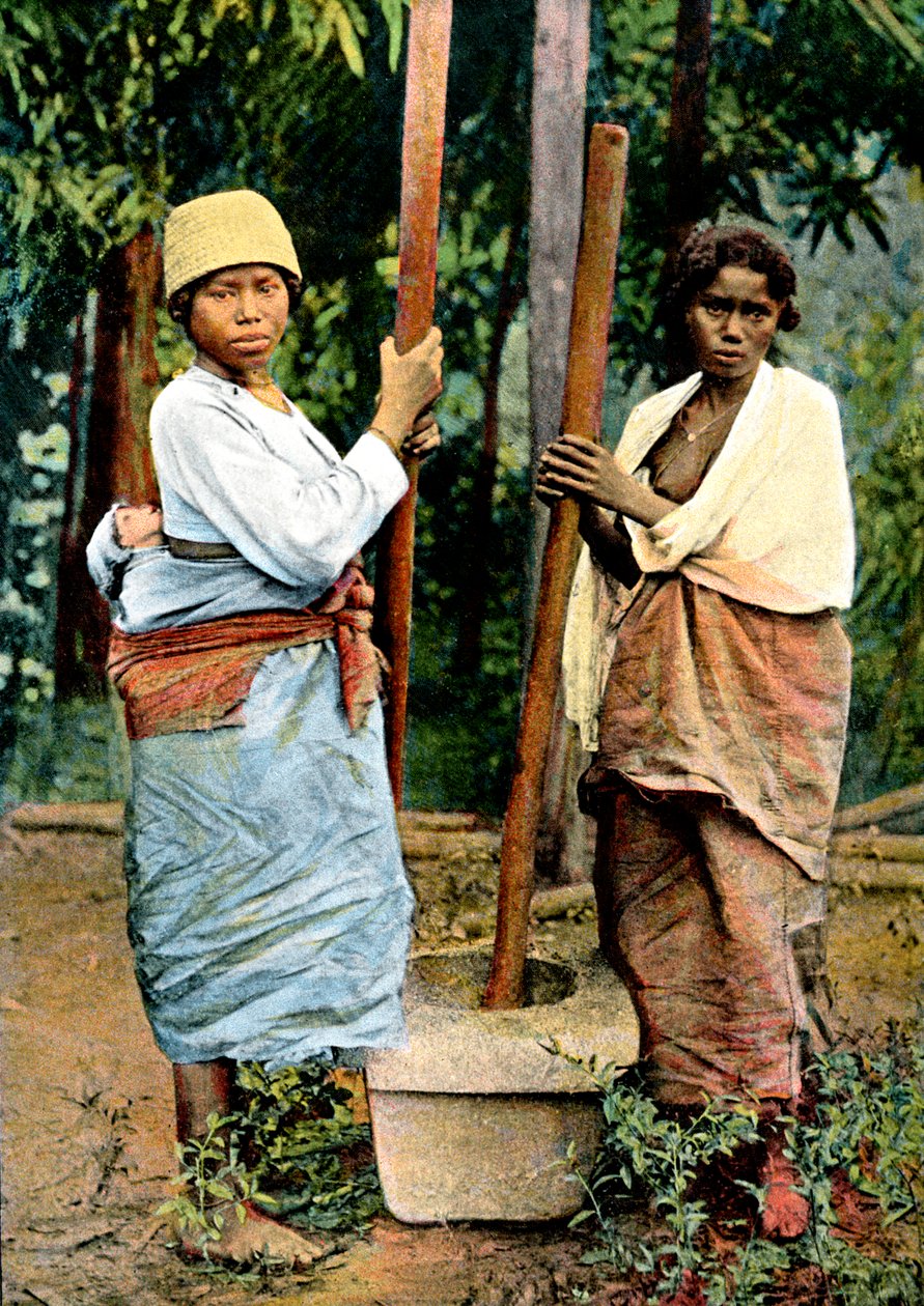 Kvinnor som dunkar ris, Madagaskar, sent 1800-tal av Unbekannt