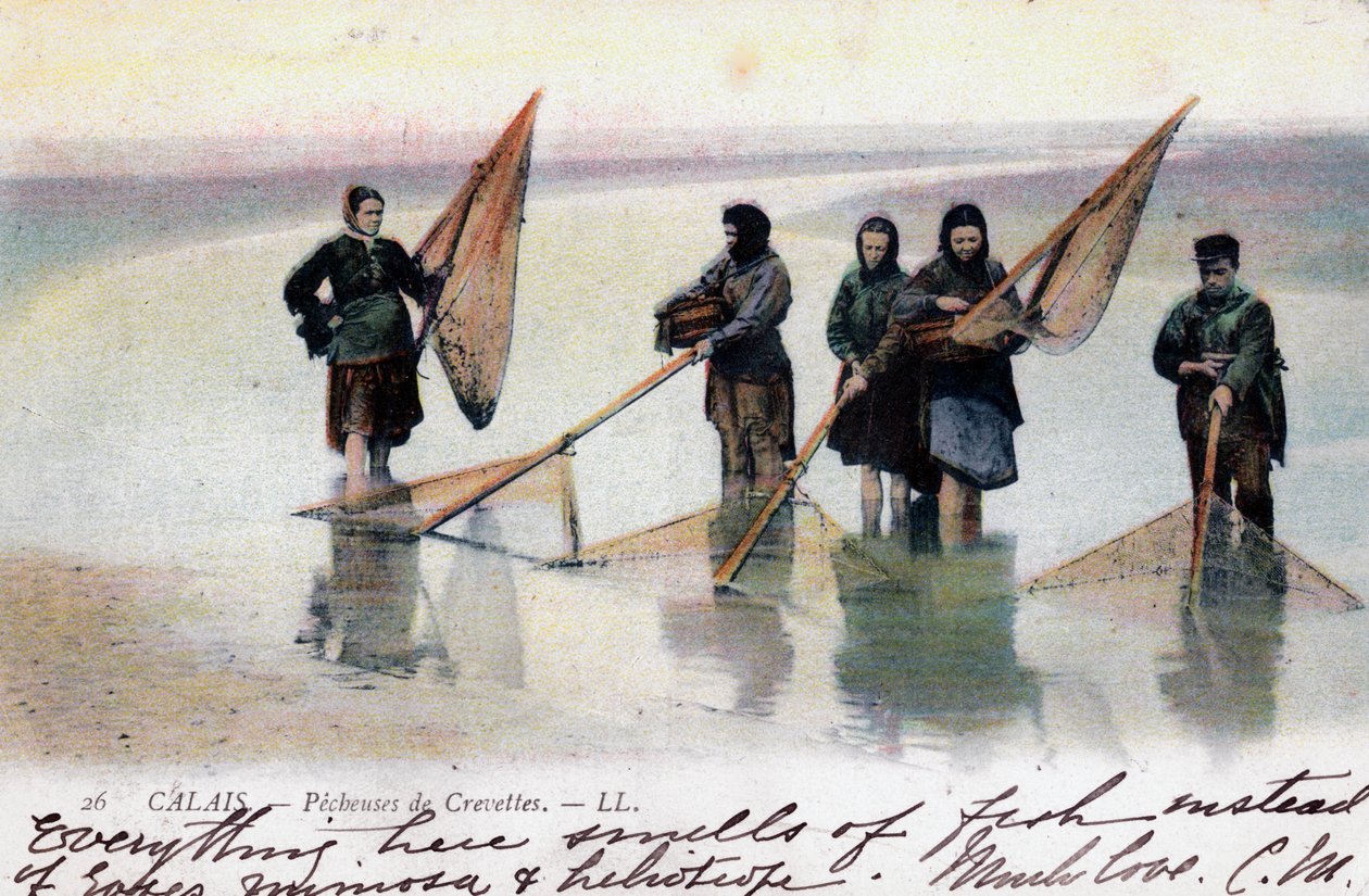 Kvinnliga räkfiskare, Calais, 1905 av Unbekannt